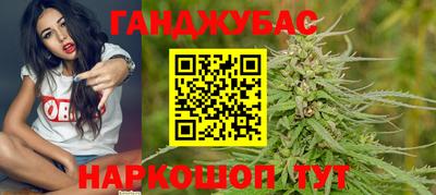 дмт Шелехов