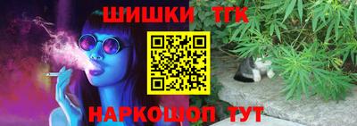 дмт Шелехов