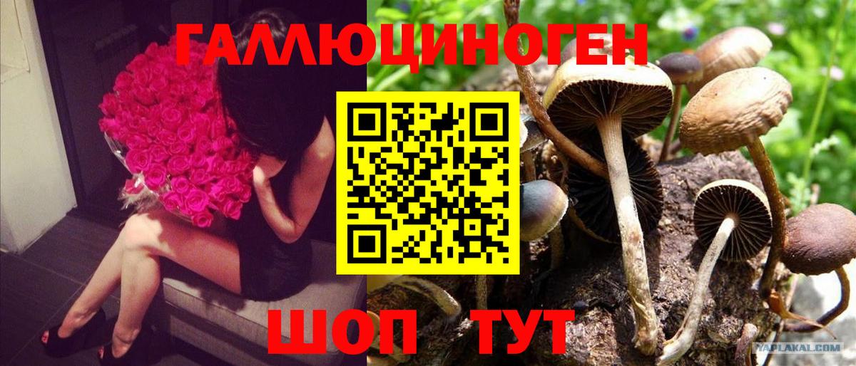 Псилоцибиновые грибы MAGIC MUSHROOMS Гусев