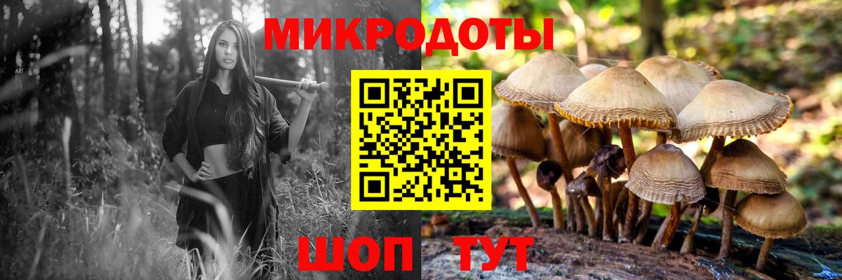 Гусев  Псилоцибиновые грибы GOLDEN TEACHER  Вход с VPN 