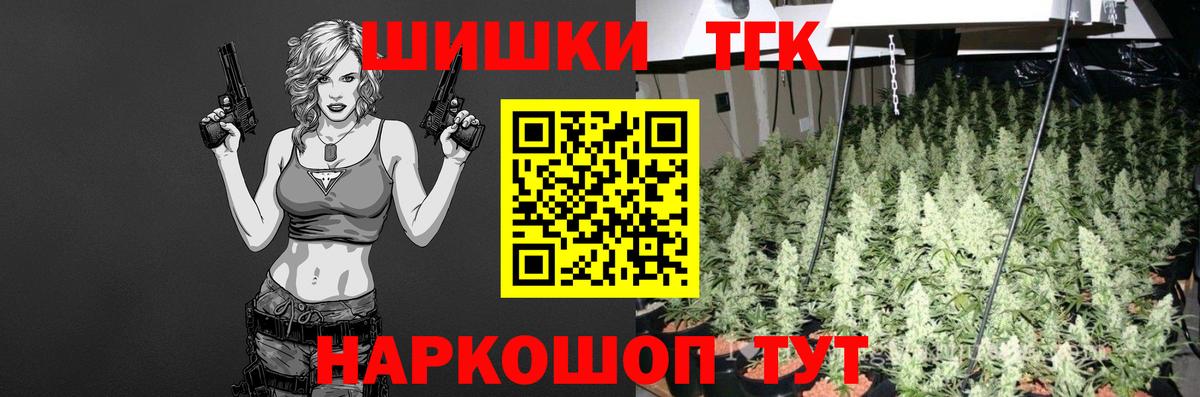 Конопля сатива Гусев